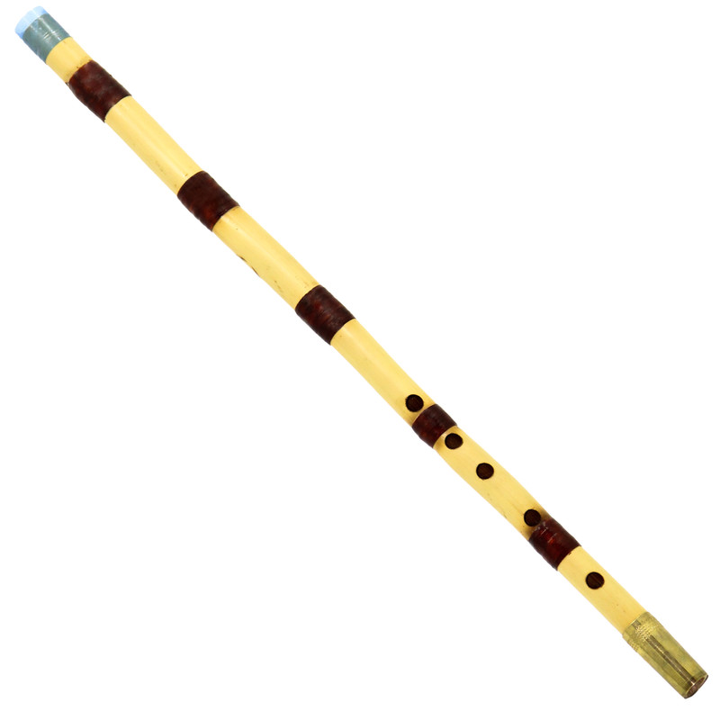 آموزش نی